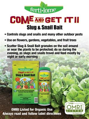Slug & Snail